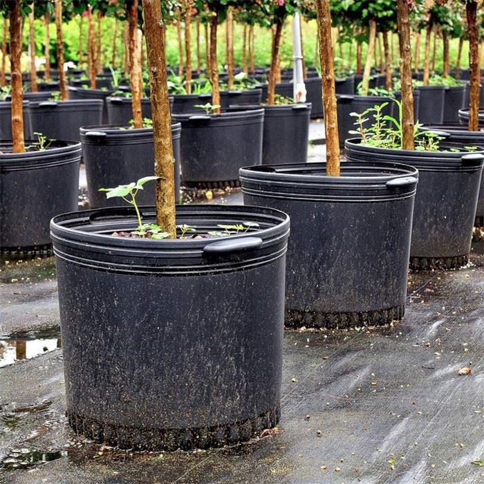 1 Gallon Plastic Plant Pot