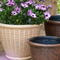 12" Rattan Plant Pot