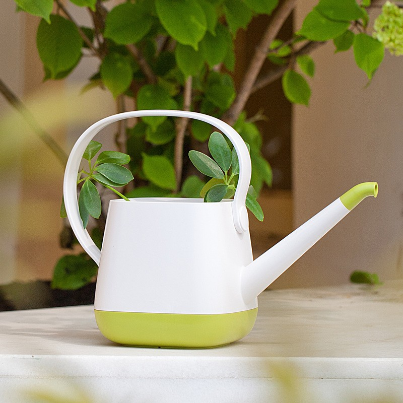 Reusable Water Bottle