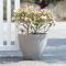 Small Plastic Flower Pots
