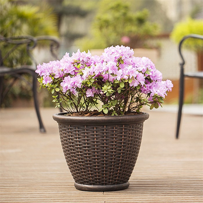 large wicker planters07