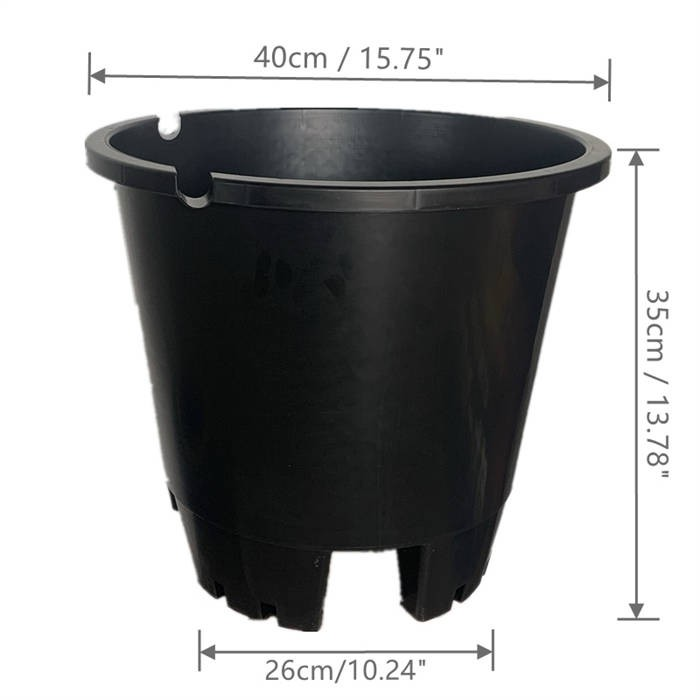 30L Blueberry Pot08