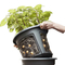 Potato Nursery Pot