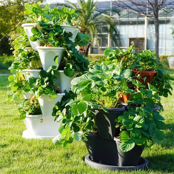 Stackable Planter