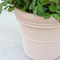 Decorative Flower Pot