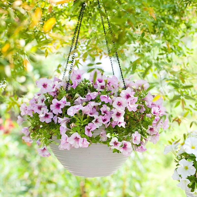 Resin Hanging Basket