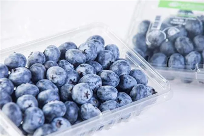 Bloom Fresh Acquires Inka's Berries' Zero-Chill Requirement Blueberry Variety Project In Peru