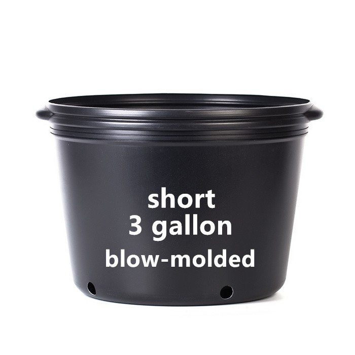 3 Gallon Short Nursery Pot For Sale