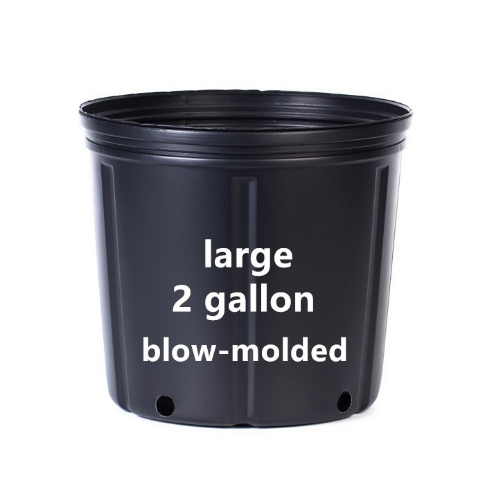 2 Gallon Planter Bucket