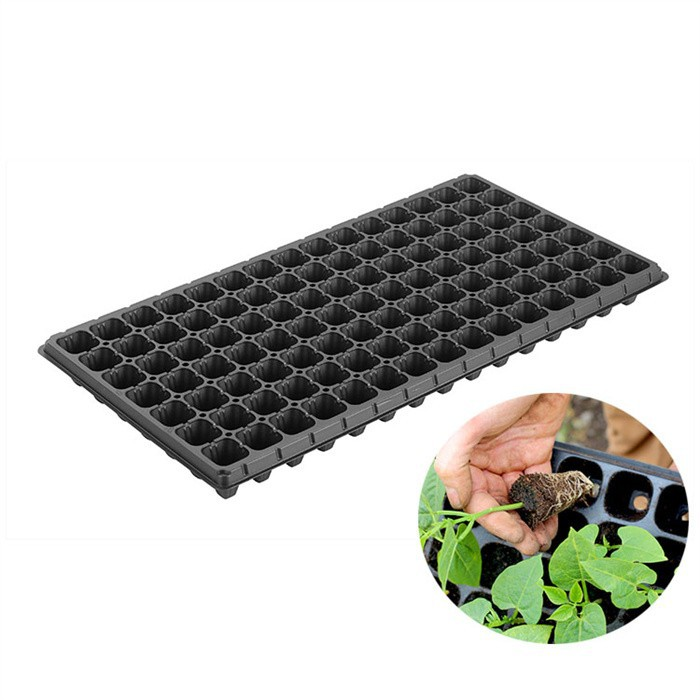 24 Holes Seed Tray