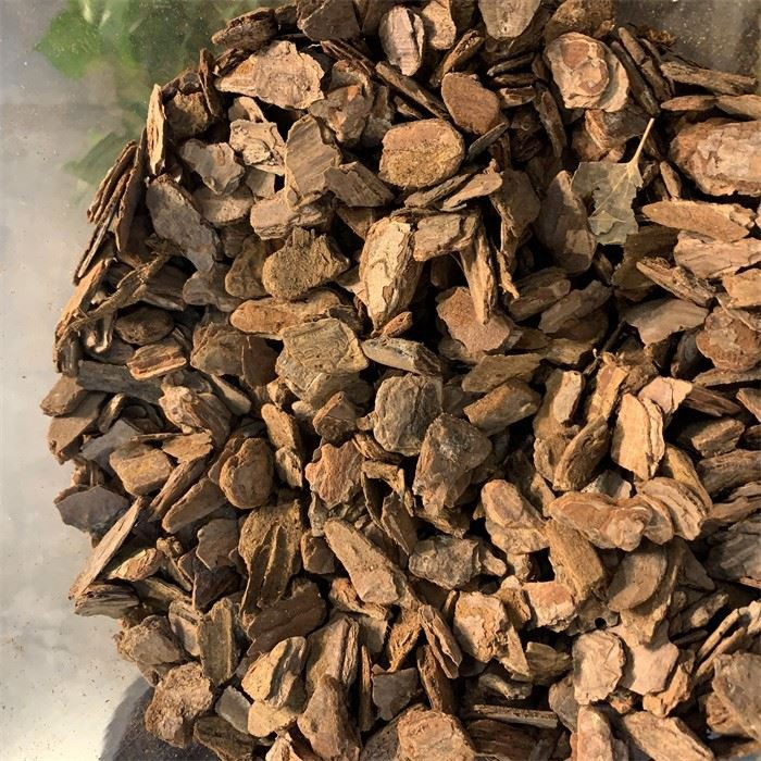 5cm Pine Barks