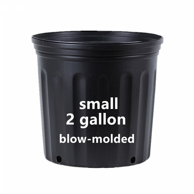 2 Gallon Planter Bucket For Sale