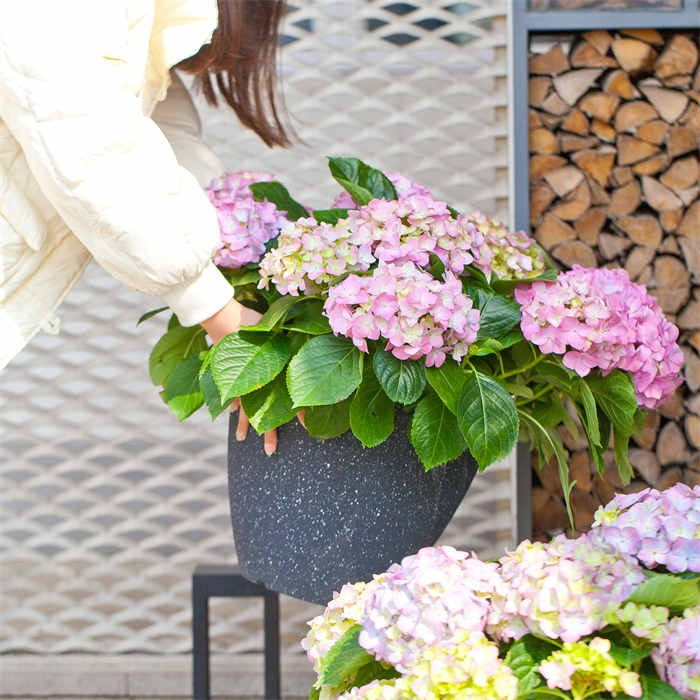 9 Flower Pot Plastic06