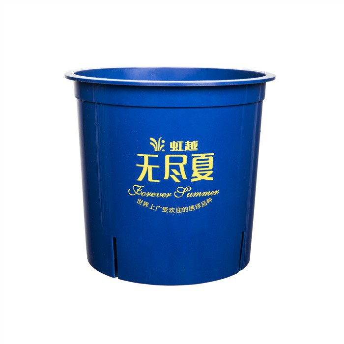 Hydrangea Special Pot