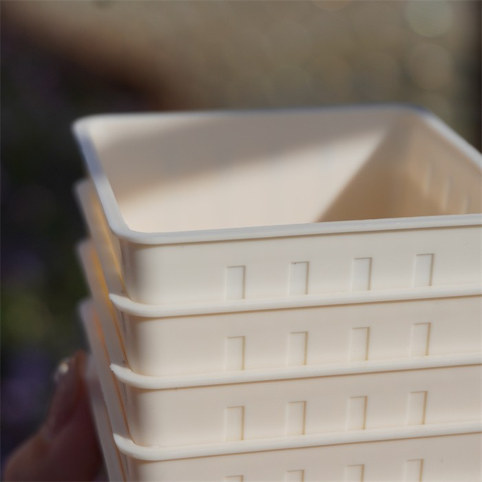 Square seedling cup08