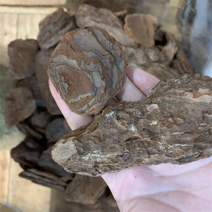 Pine Bark Chip