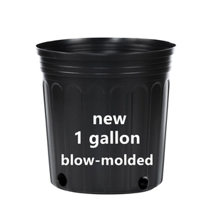 1 Gallon Nursery Pot For Sale