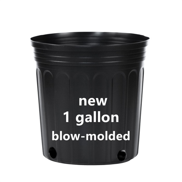 1 Gallon Nursery Pot For Sale