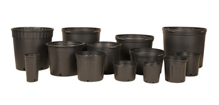 product-700-338