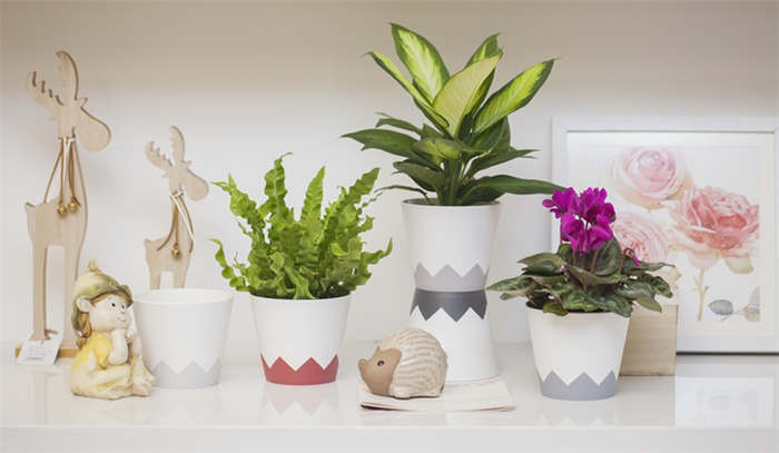 Small Desktop Flower Pot04