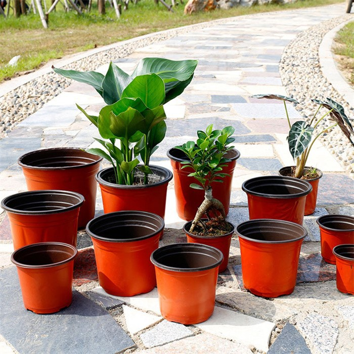 pp plastic seedling Pot07
