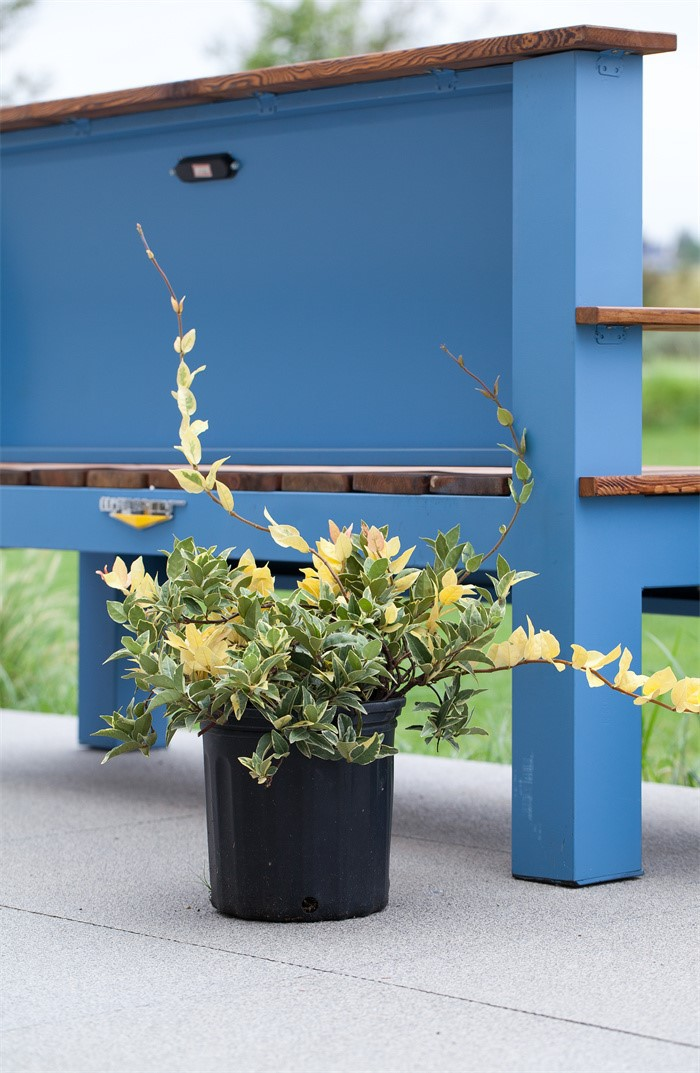 spiral decorated plant pots08