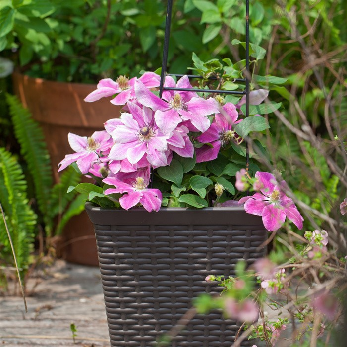 Spray Plastic Flower Pot08