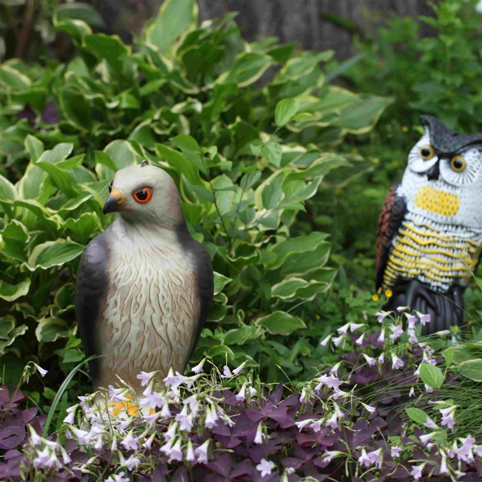 Decorative Plastic Garden Accessories