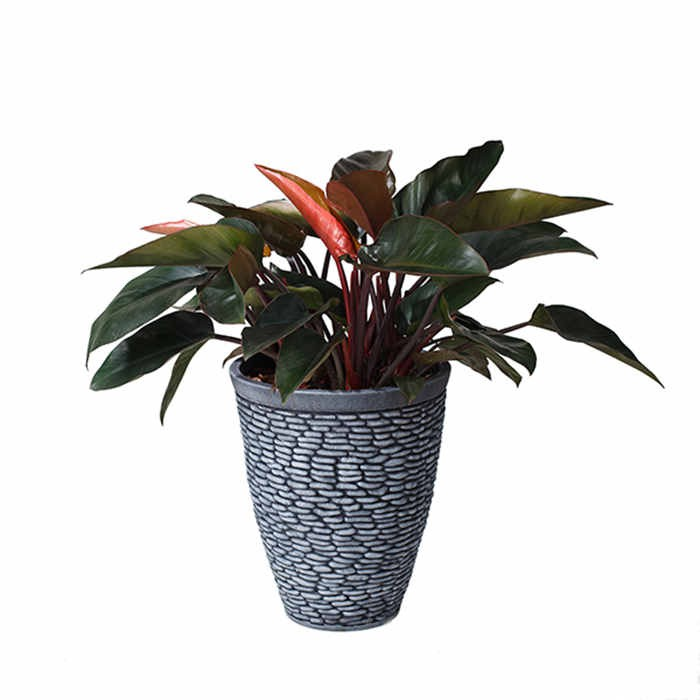 15 Plastic Flower Pot08