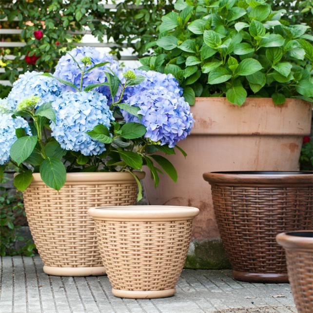 product-642-642