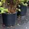 5 Gallon Plant Pots For Sale
