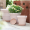 Drip Trays For Flower Pots