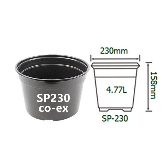 Blister Seedling Pot