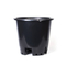 25L Blueberry Pot