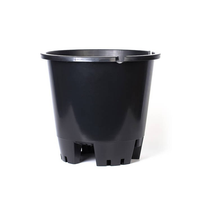 25L Blueberry Pot