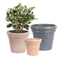 Outside Planter For Plant