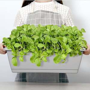 Designer Long Planter