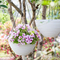 Resin Hanging Basket