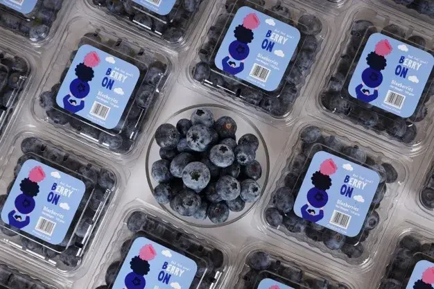 The Planting Area Of Blueberries In India Is Increasing, And They Are Mainly Exported To The Middle East And Southeast Asia