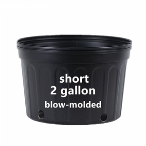 2 Gallon Short Nursery Pot For Sale