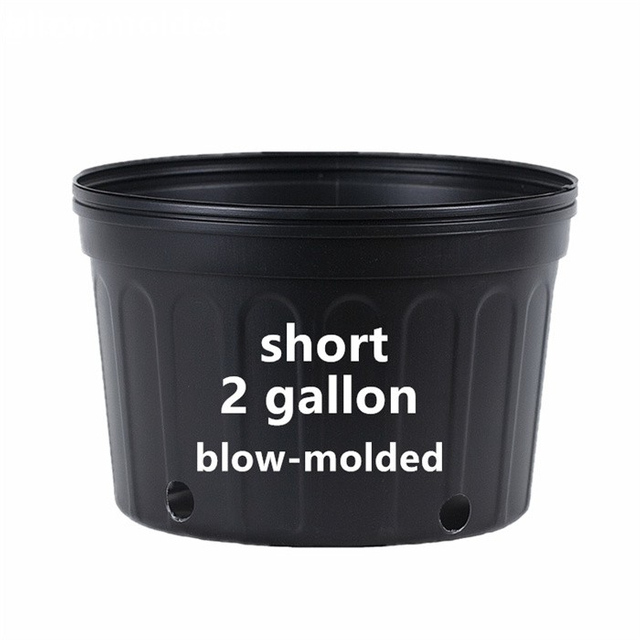 2 Gallon Short Nursery Pot For Sale