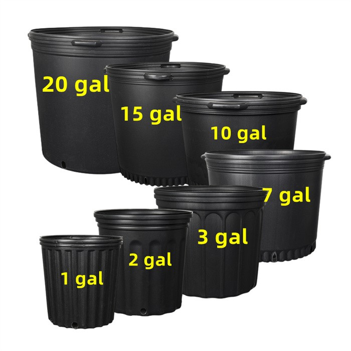 2 Gallon Planter Bucket For Sale06