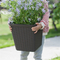 Rattan Planter