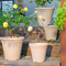 Vintage Planter Pot