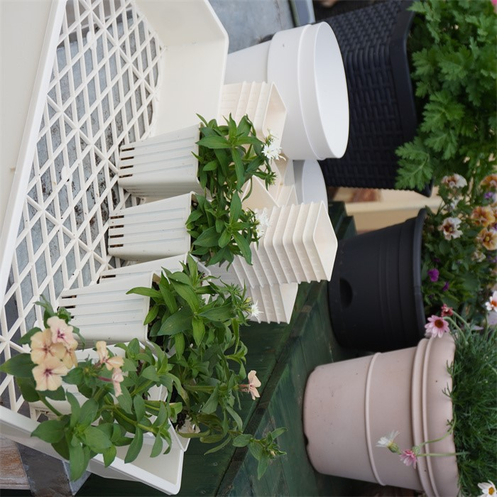 12 hole seedling pot Holder Tray05