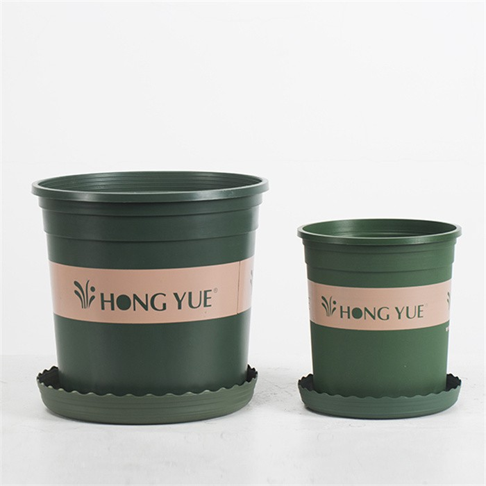 Rhododendron special pot06