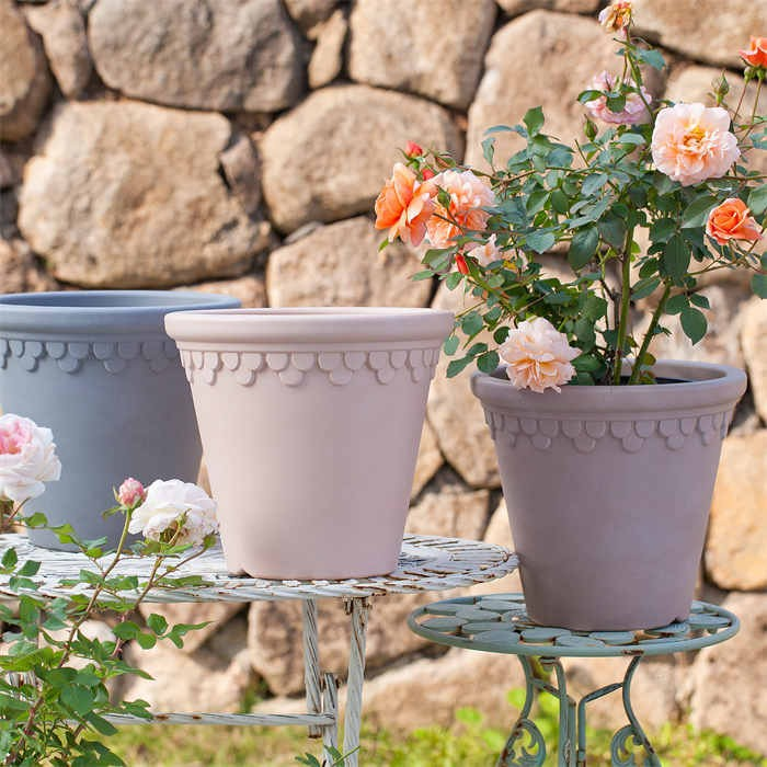 Plastic Plant Pot