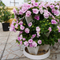 Stacking Planters