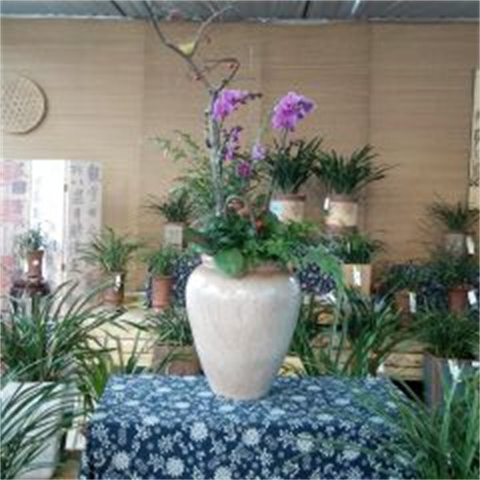 9" Wine Jar Planter