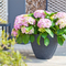 9" Plastic Flower Pot